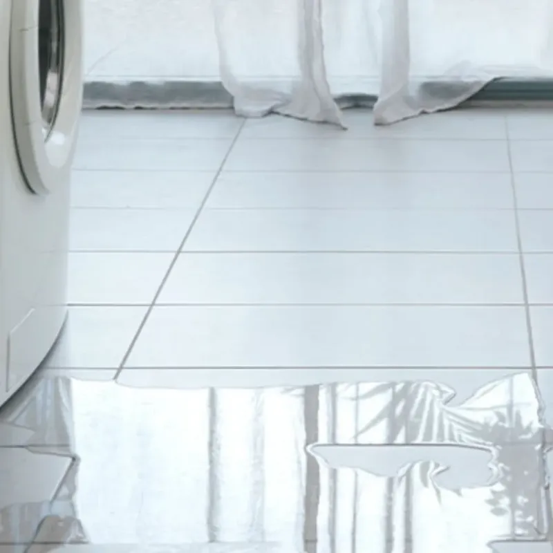 Appliance Leak Cleanup in Runaway Bay, TX