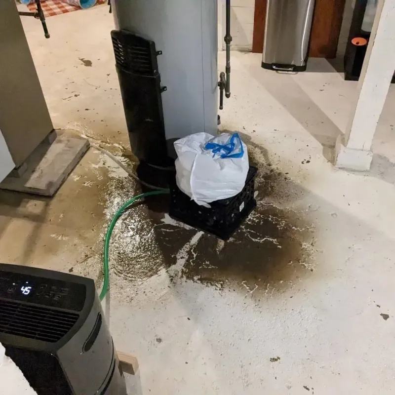 Sewage Backup Cleanup Service in Runaway Bay, TX